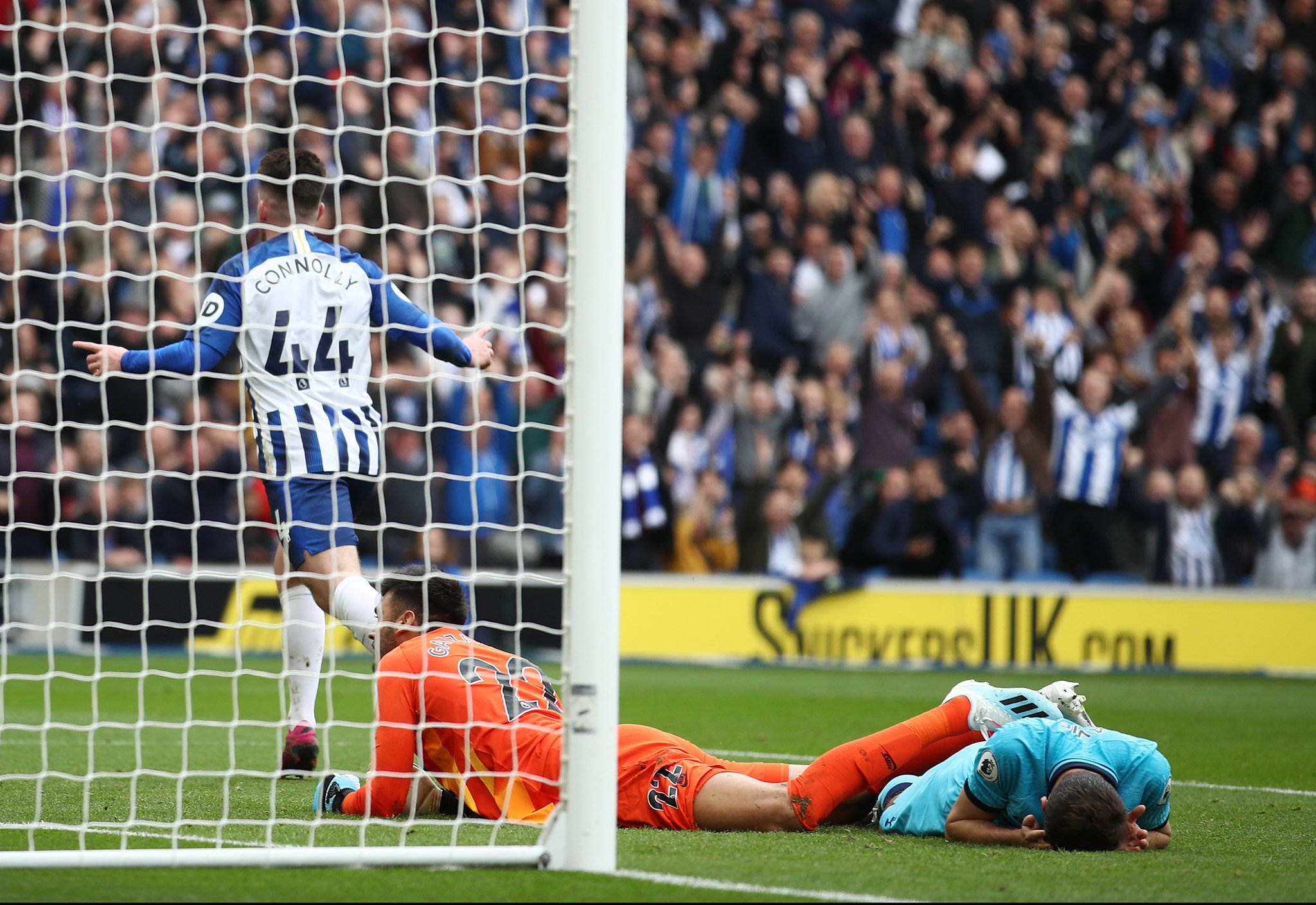 他在篮板和 他在篮板和